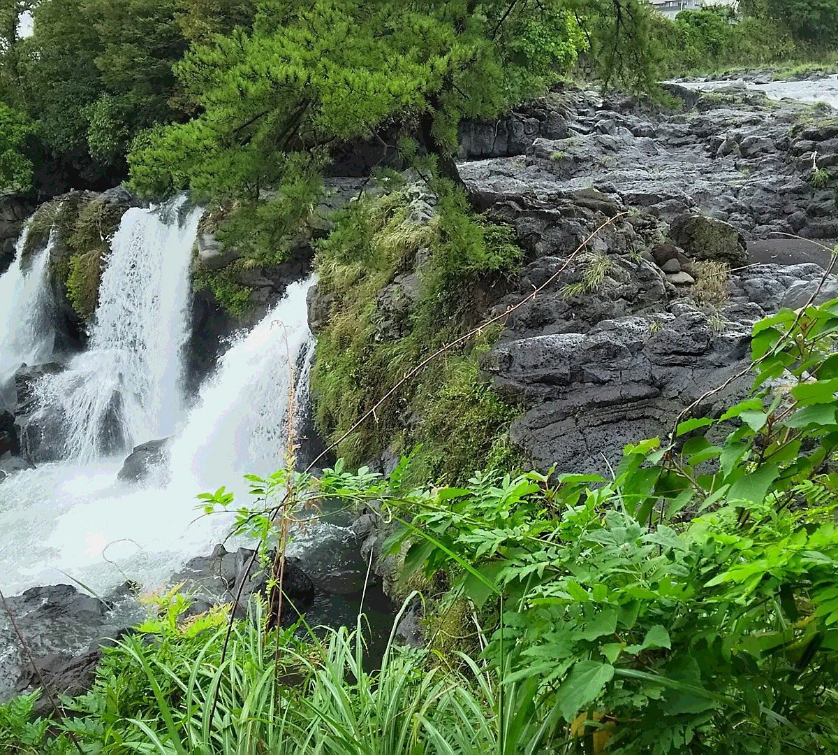🏞️ 아유츠보 폭포(아유츠보노타키) 이미지 5